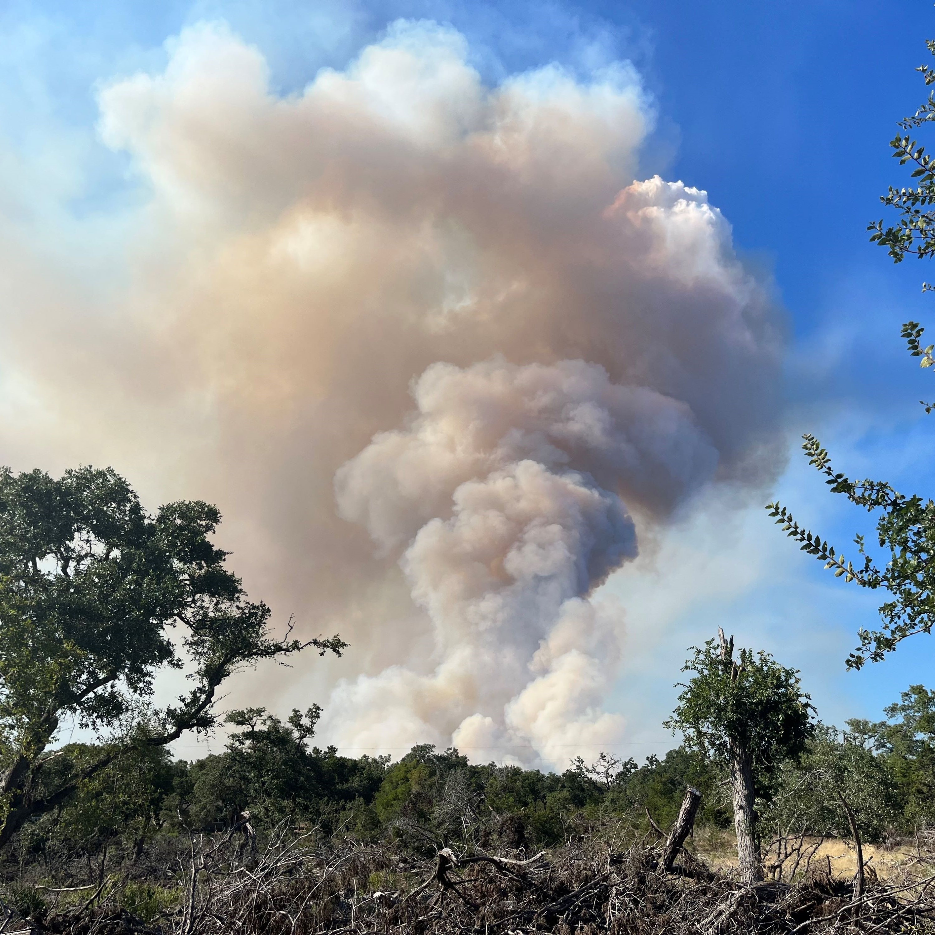 Texas A&M Forest Service has raised the State Wildfire Preparedness Level to Level 4 due to the recent increase in wildfire activity across the state and the growing potential for wildfires to become more severe, making them harder to control.